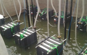 發(fā)電廠垃圾滲濾液水質(zhì)特點是什么？
