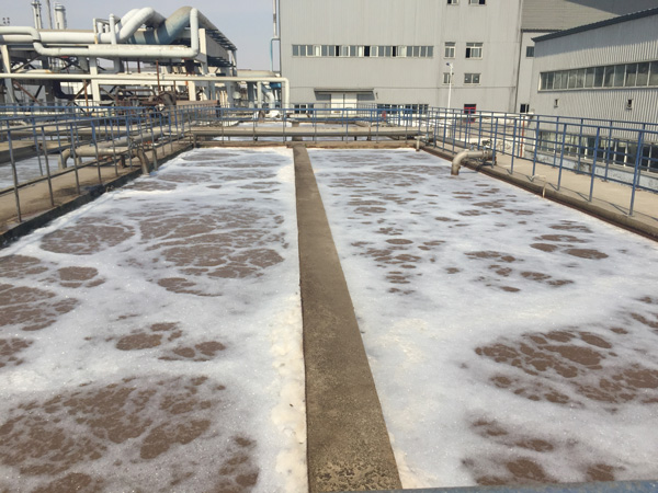 除磷劑是什么藥劑？水里的總磷來自哪里？
